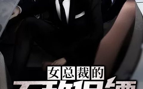 唐心怡蘇浩然小說最新進展深度解析，新篇章揭秘