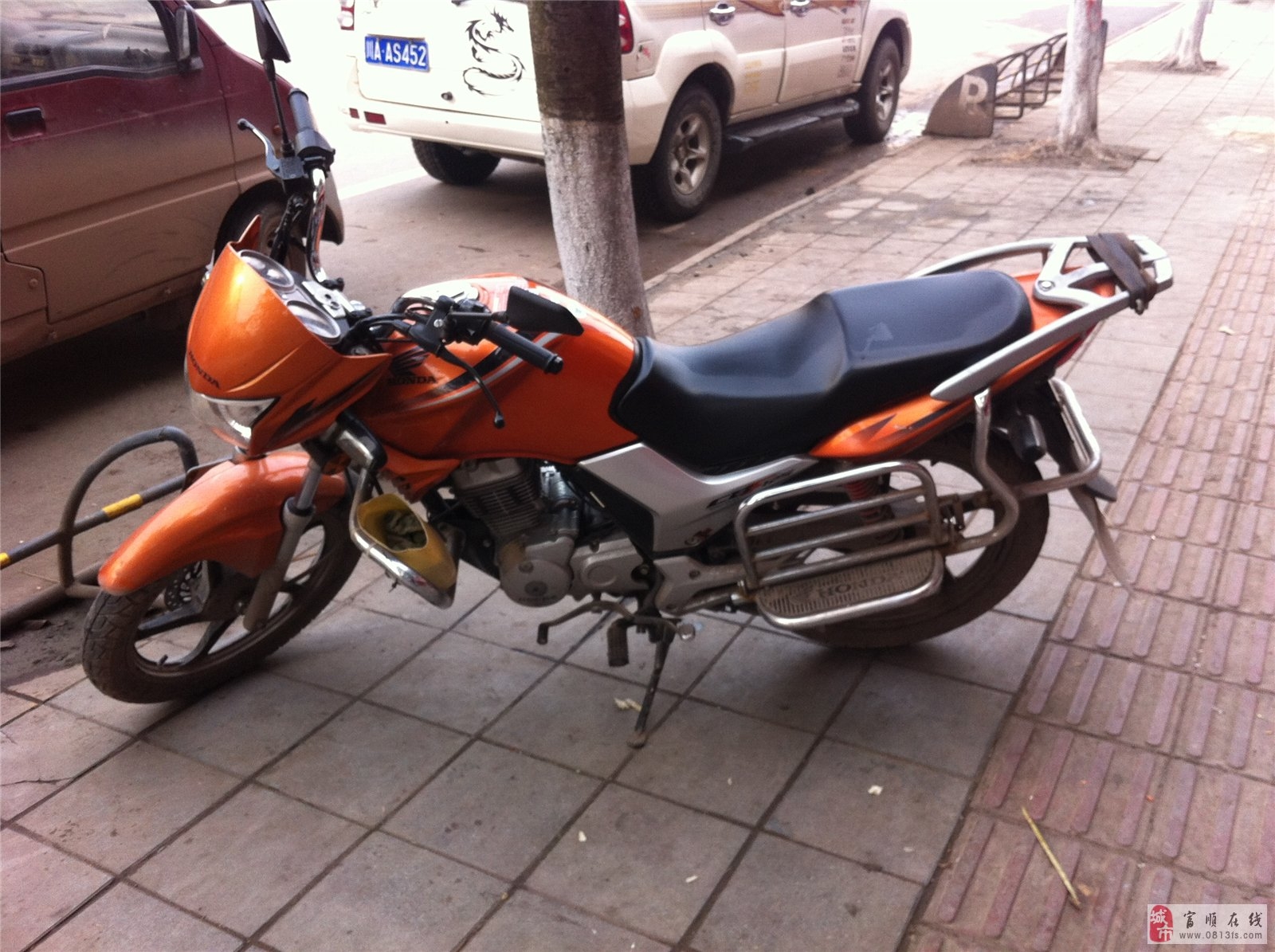 本田小戰(zhàn)鷹最新款，全面觀(guān)點(diǎn)論述與深度解析