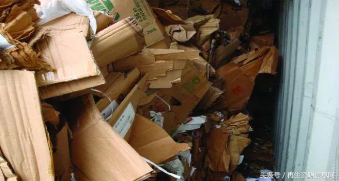 進口廢紙最新政策下的隱秘寶藏探索，特色小店探秘之旅