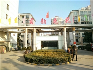 最新社旗獨(dú)家小院出售，市場(chǎng)趨勢(shì)、正反觀點(diǎn)分析與個(gè)人立場(chǎng)探討