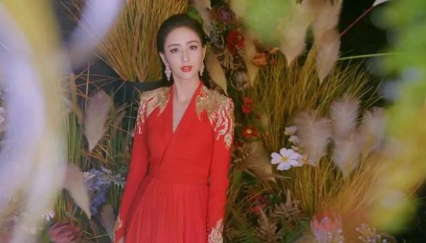 佟麗婭最新新聞，獲取與解讀明星資訊的步驟指南