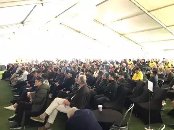 最新鋯英砂價(jià)格揭秘，小巷寶藏砂店探秘之旅