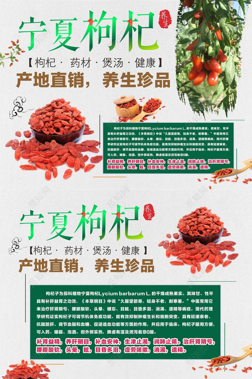 最新枸杞苗收購信息匯總