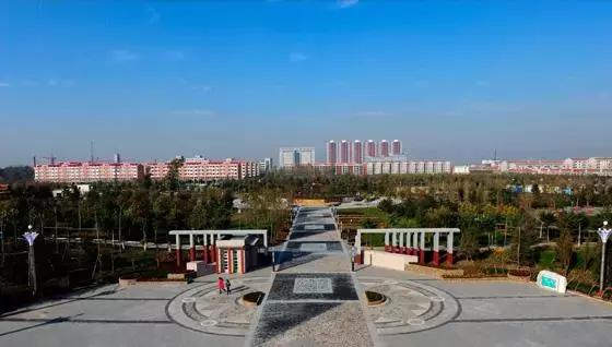 河北大蒜最新價(jià)格行情動(dòng)態(tài)更新????