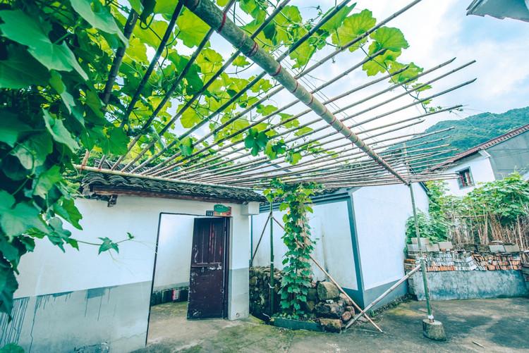 神級茶人最新章節(jié)，探尋自然美景之旅，追尋內心平靜之道