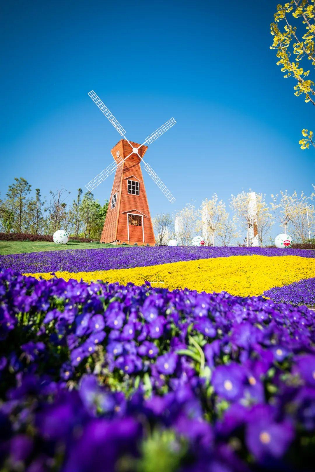 滎陽市最新房價動態(tài)，時代印記與城市的脈絡