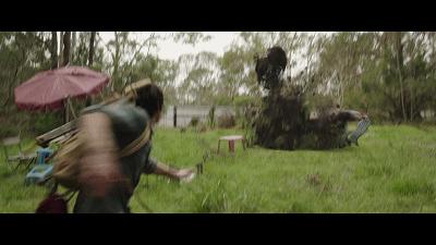 自然共舞的心靈之旅，最新狗狗電影鼓舞人心