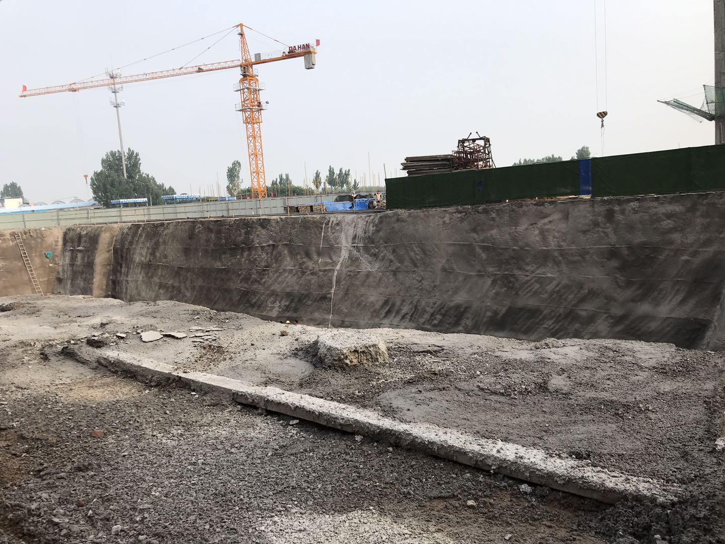 鵬洲麗城最新動(dòng)態(tài)揭秘，小巷中的隱藏瑰寶