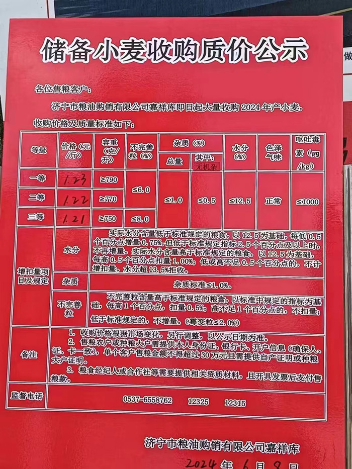 濟(jì)寧小麥最新價(jià)格行情詳解及獲取價(jià)格走勢的方法指南