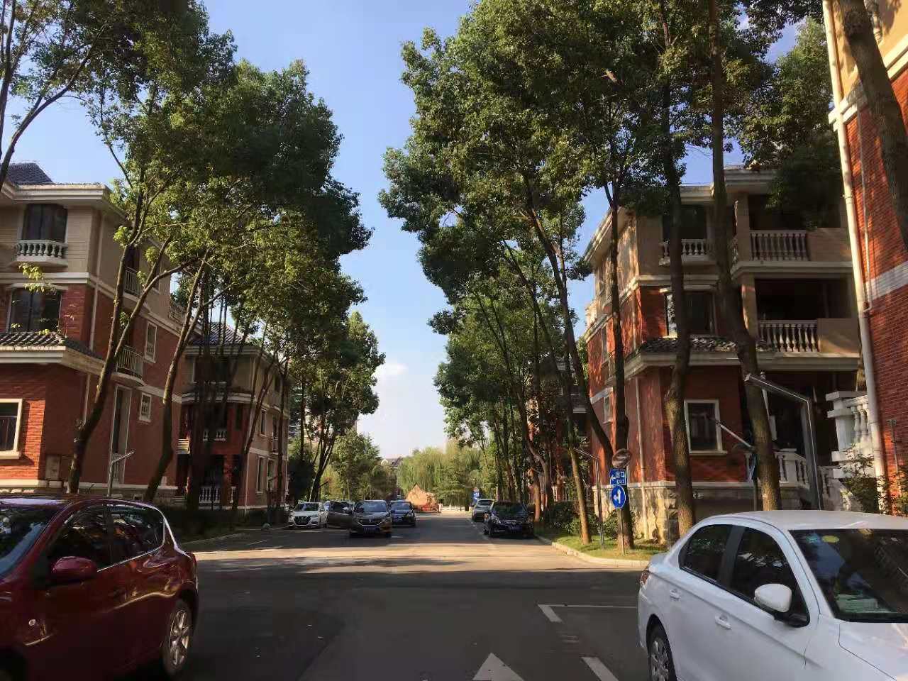 武漢卓峰地產(chǎn)最新動(dòng)態(tài)揭秘，最新進(jìn)展與動(dòng)態(tài)更新