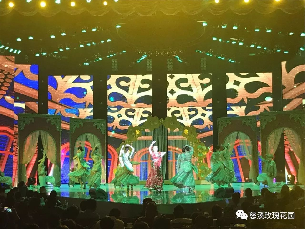 慈溪玫瑰花園最新視頻，綻放的玫瑰盛世美景