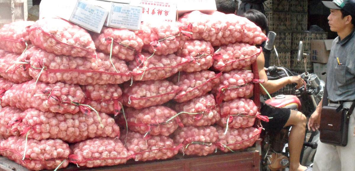 金鄉(xiāng)縣大蒜最新價格揭秘，小巷深處的蒜香寶藏