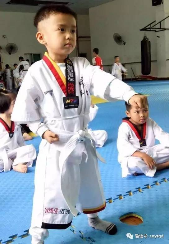 最新跆拳道上課流程，自信與成就感的源泉